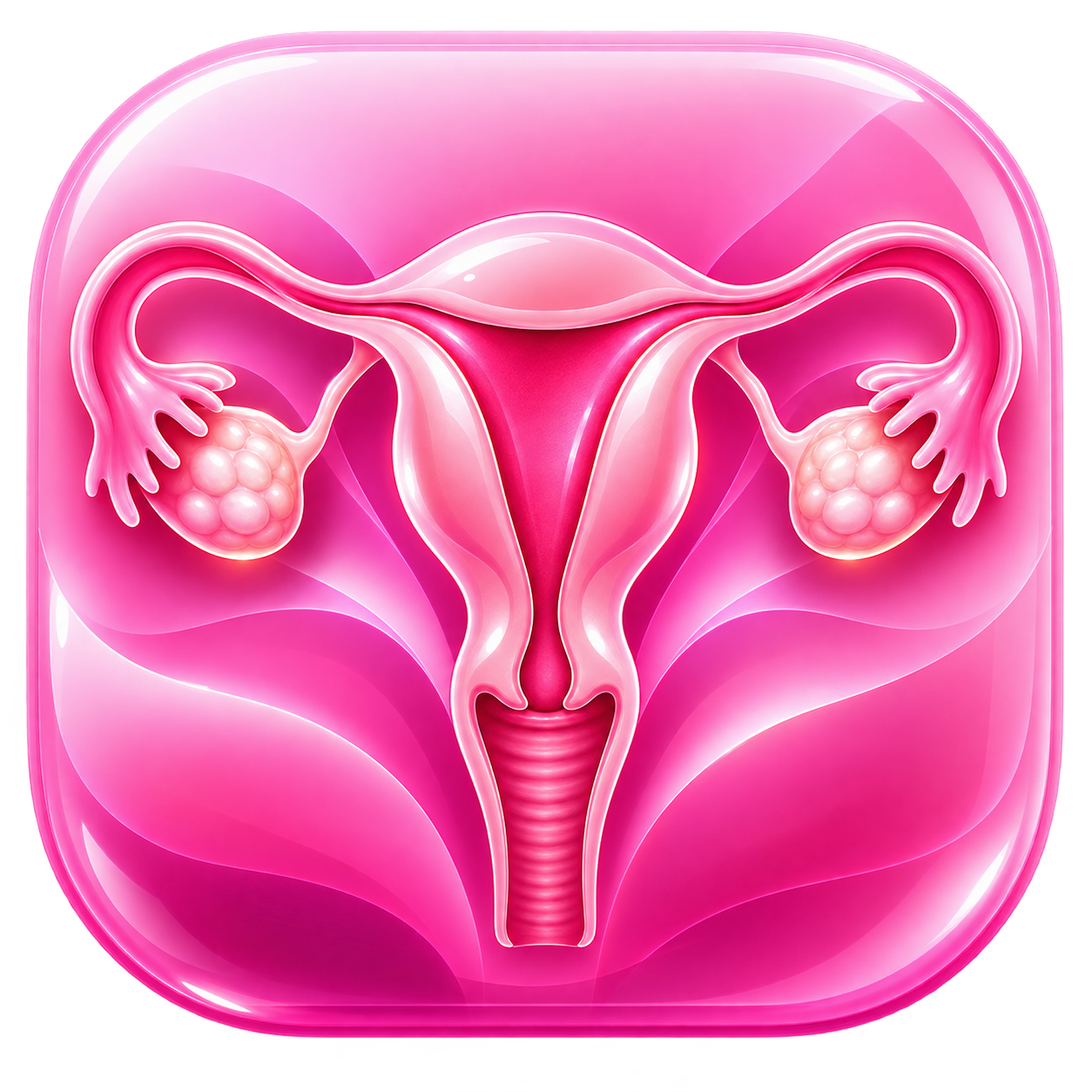 Gynäkologie App Icon